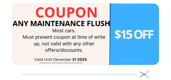 MAINTENANCE FLUSH